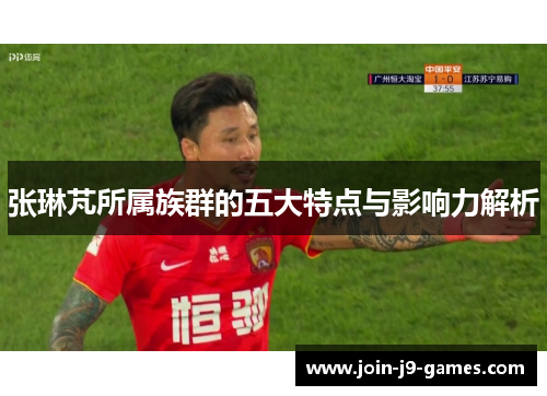 张琳芃所属族群的五大特点与影响力解析