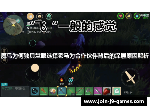 魔鸟为何独具慧眼选择老马为合作伙伴背后的深层原因解析 魔鸟为何独具慧眼选择老马为合作伙伴背后的深层原因解析